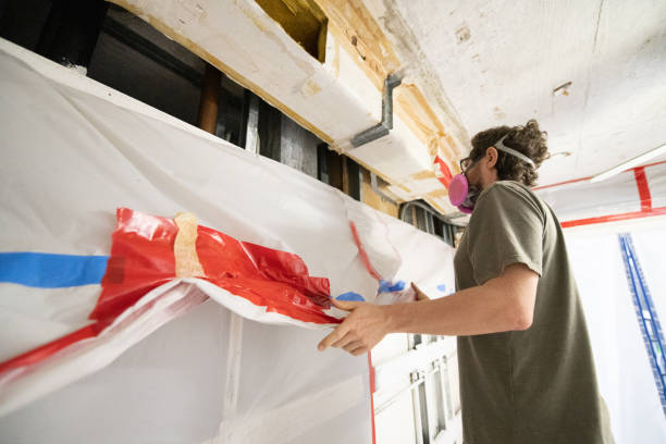 Best Industrial Mold Remediation  in Dawsonville, GA