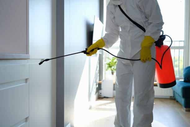Best Biohazard Mold Removal  in Dawsonville, GA